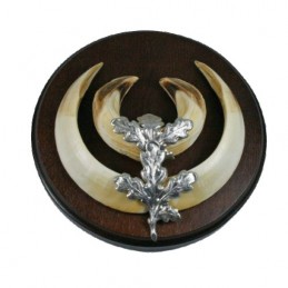 Foglia per trofeo di cinghiale - confezione da 10