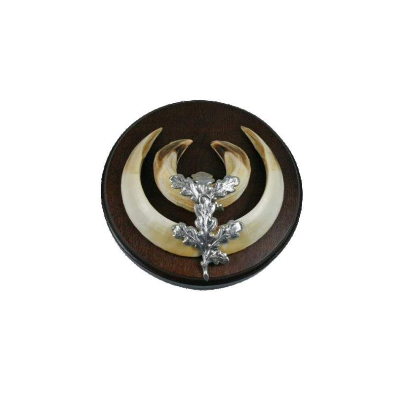 Foglia per trofeo di cinghiale - confezione da 10