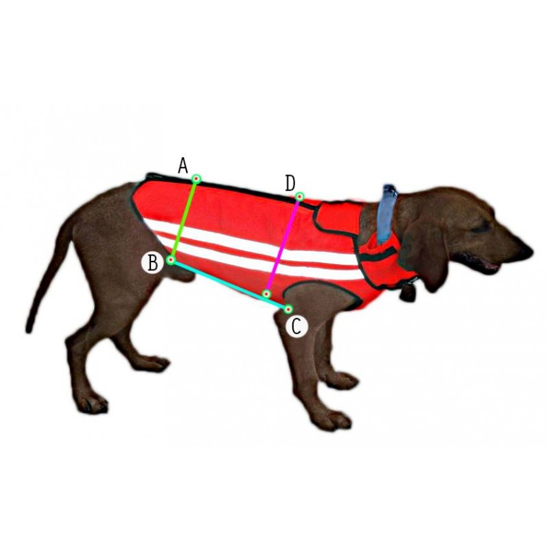 Corpetto protettivo per cani Calzaturificio Lauretta