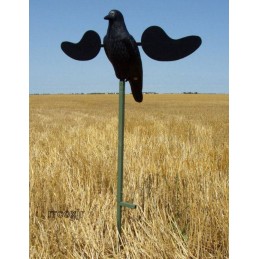 Mojo Crow corvo ali ruotanti