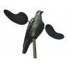 Mojo Crow corvo ali ruotanti