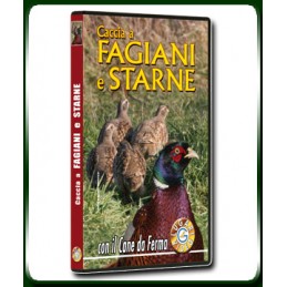 CACCIA A FAGIANI E STARNE CON IL CANE DA FERMA