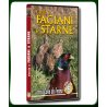 CACCIA A FAGIANI E STARNE CON IL CANE DA FERMA