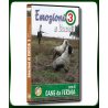 EMOZIONI DI CACCIA 3 con il CANE da FERMA