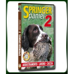 SPRINGER Spaniel 2 ADDESTRAMENTO - LAVORO - CACCIA