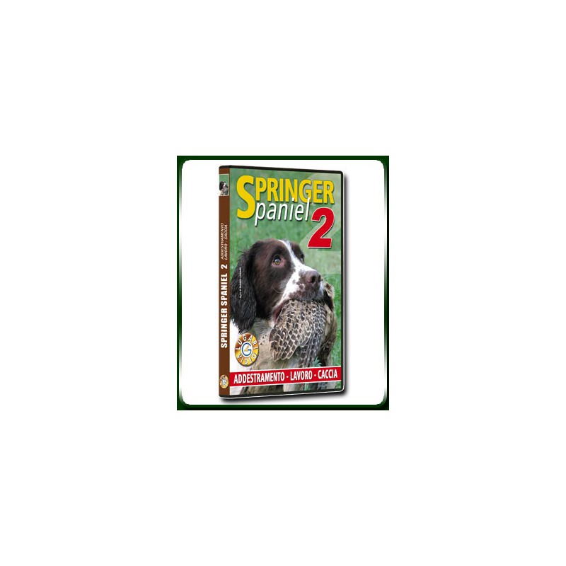 SPRINGER Spaniel 2 ADDESTRAMENTO - LAVORO - CACCIA