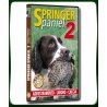 SPRINGER Spaniel 2 ADDESTRAMENTO - LAVORO - CACCIA