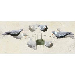 Giostra per colombacci e piccioni