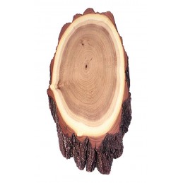 Scudetto in robinia per cervo