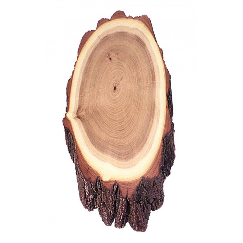 Scudetto in robinia per cervo