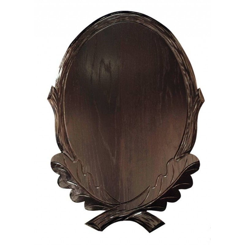 Scudo per camoscio tassidermizzato