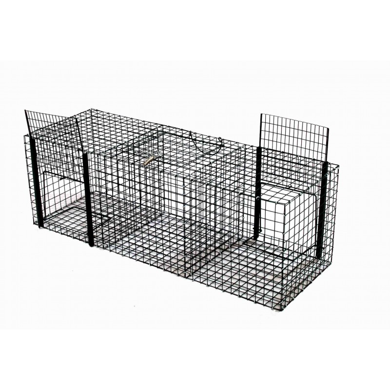 Trappola per corvidi e gazze a tre scomparti