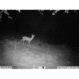 Fototrappola Scout Guard BG584MK - Servizio In-cloud MOLNUSSG