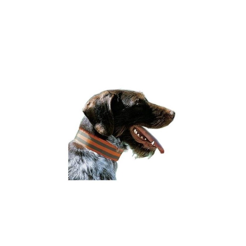 Collare ad alta visibilità elastico con velcro