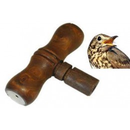 RICHIAMO VERSO TORDO FERITO