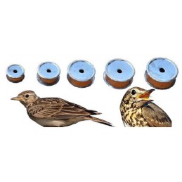 Serie richiami allodola e tordo