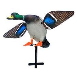 Nuova Anatra ali rotanti Lucky Duck Hot Shot