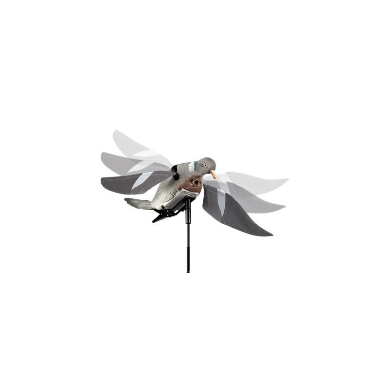 Colombaccio ali battenti Lucky Duck