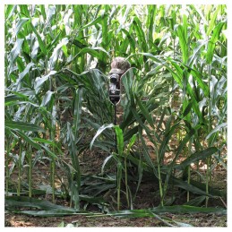 Capanno Ghost Blind made in USA Capanno Ghost Blind made in USA