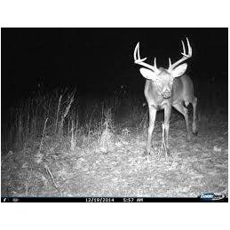 Fototrappola Cuddeback C2 IR