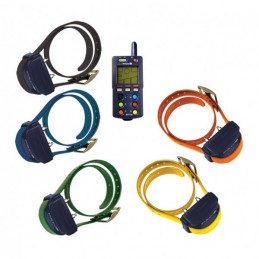 Collare Educativo Dogtra PAC EXT 5-3000