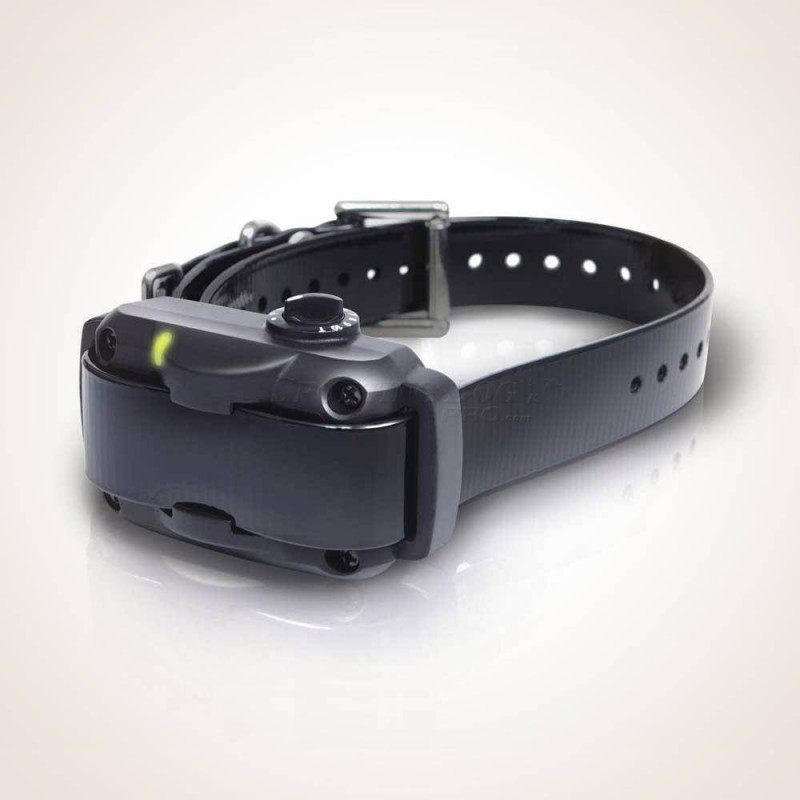 Collare Anti Abbaio Professionale Dogtra YS 600