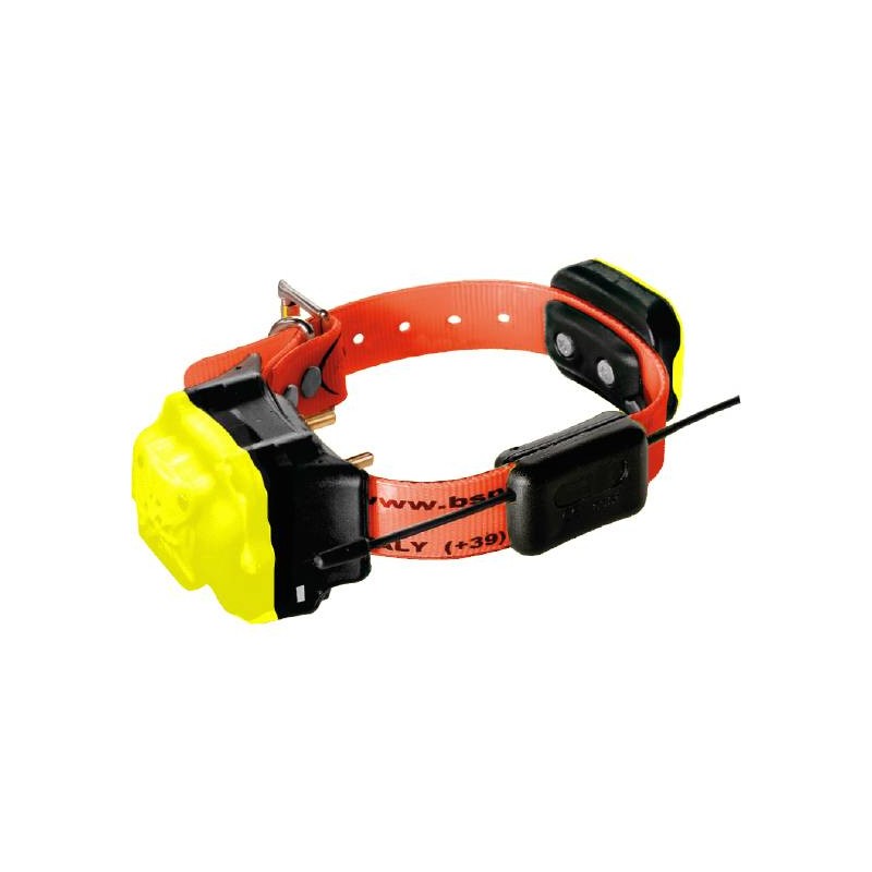 BS999 Radio Collare GPS + Beeper + Addestramento Plus & Strong