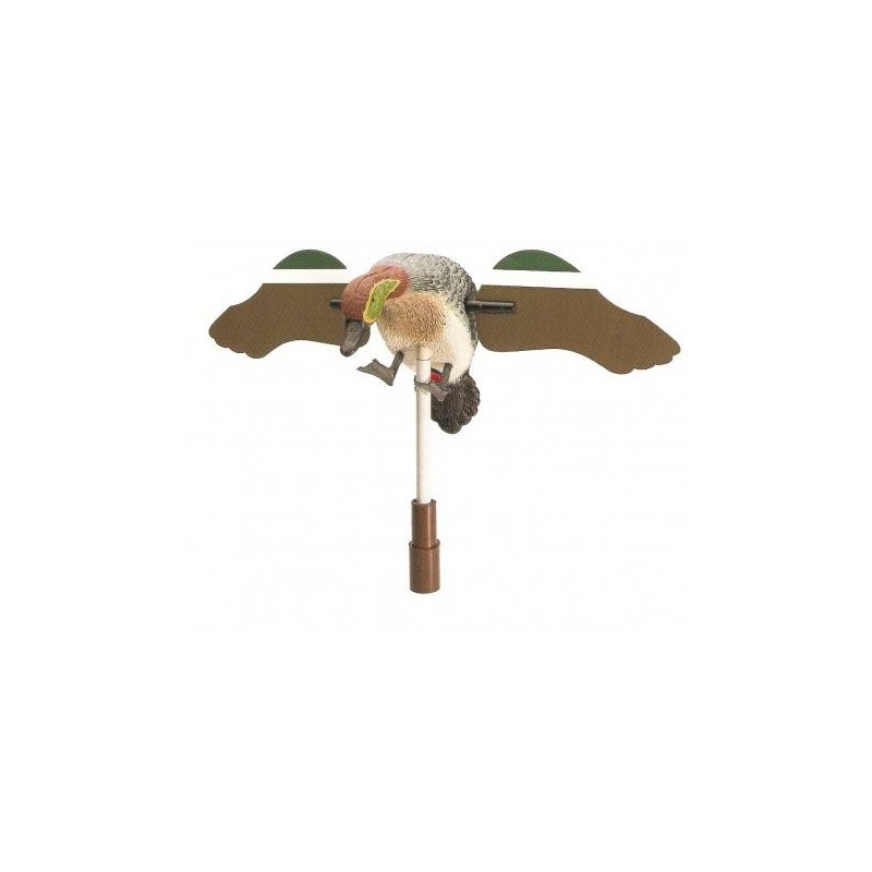 Alzavola maschio ad ali girevoli ala piatta German