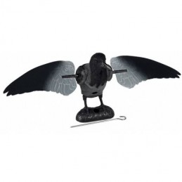 Cornacchia ad ali girevoli German