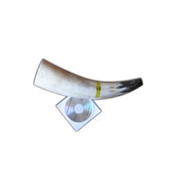 Richiamo per cervo Weisskirchen