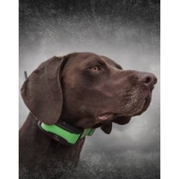 PROMO SHOCK TEK 1.5 Sistema di localizzazione GPS Sportdog TEK