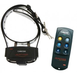 Collare educativo Canicom 200 First