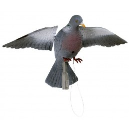 Colombaccio ali battenti German manuale