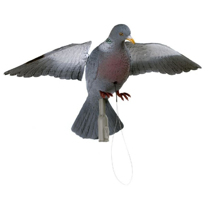 Colombaccio ali battenti German manuale