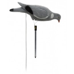 Colombaccio floccato beccante German manuale