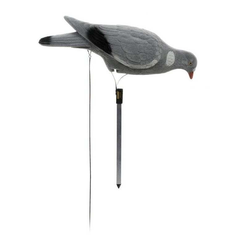 Colombaccio floccato beccante German manuale