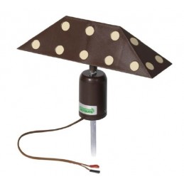 Allodoliera Pellegrino German