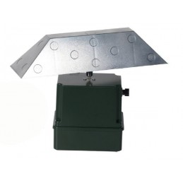 Allodoliera German Luce