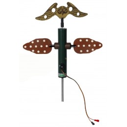 Allodoliera German Assiolo