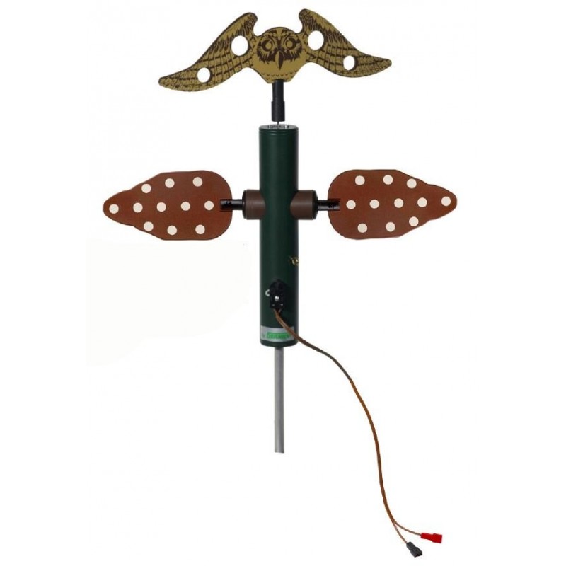 Allodoliera German Assiolo