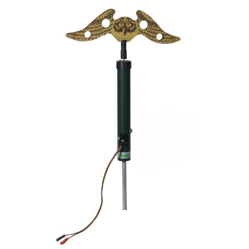 Allodoliera German Nana