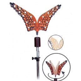 Allodoliera German Falco