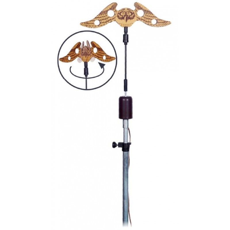 Allodoliera Allocco German