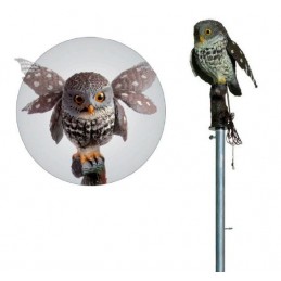 Civetta ali battenti con asta German