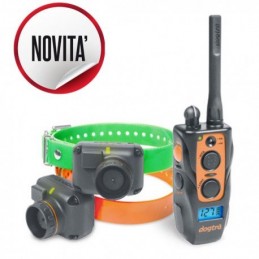 Collare Educativo e beeper Dogtra 2602 T&B