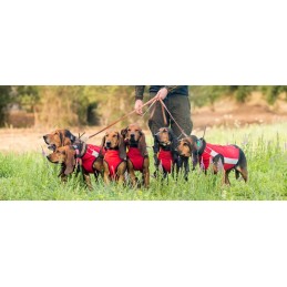 Corpetto anti zanna Canicom Solengo j45 Corpetto anti zanna Canicom Solengo j45