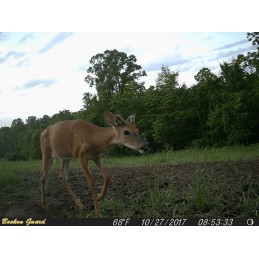 Fototrappola Arcea Sentinel II 850IR