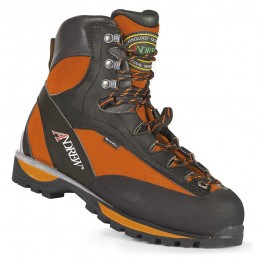 Scarpone Andrew Tree Climbing