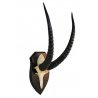 Trofeo di Roan Antelope