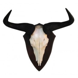 Trofeo di Blu Wildebeest Gnu 02